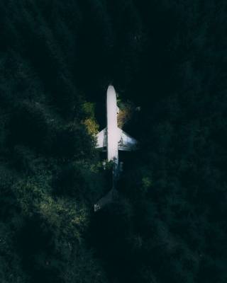 in the middle of the forest